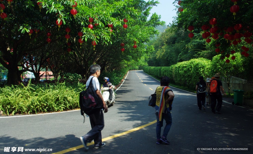 雁南飞旅游