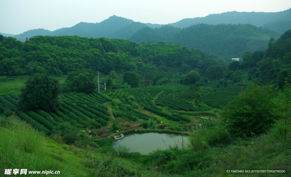 雁南飞外景