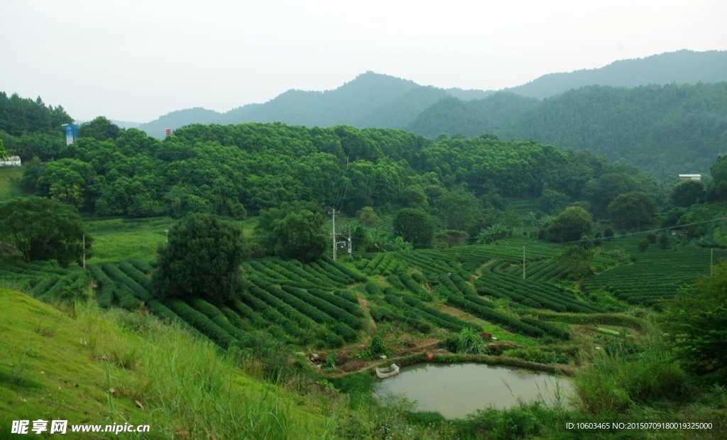 雁南飞外景