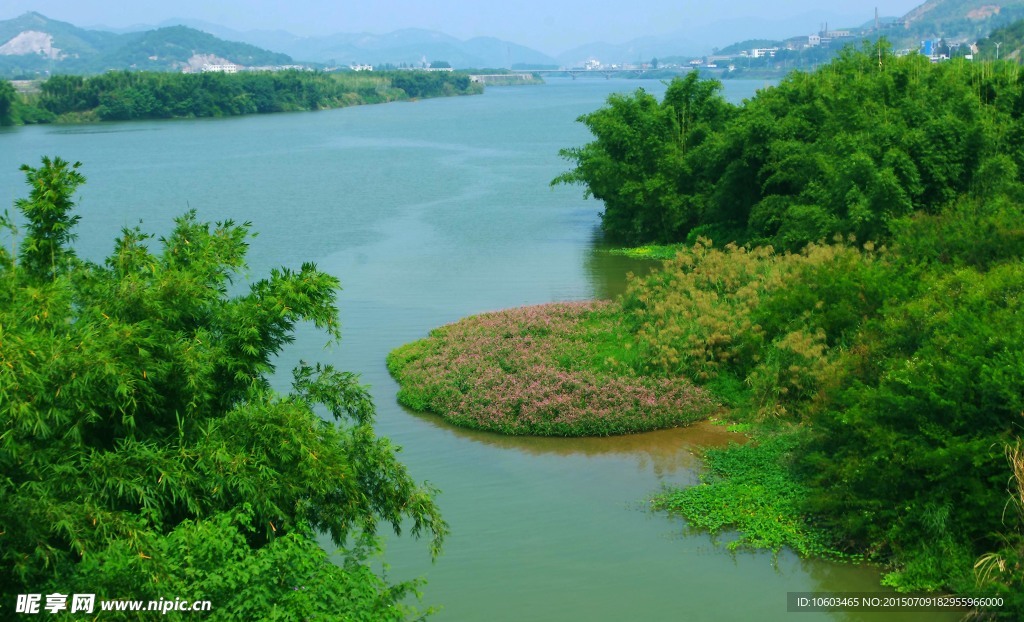 梅江风光 江岸沼泽