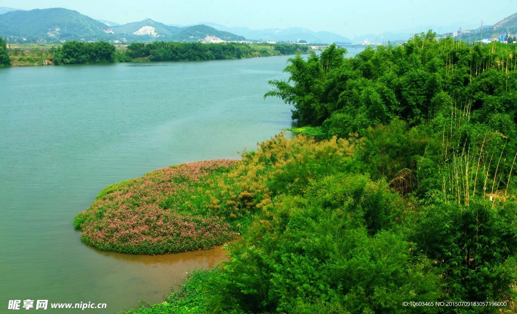 梅江风光 江岸沼泽