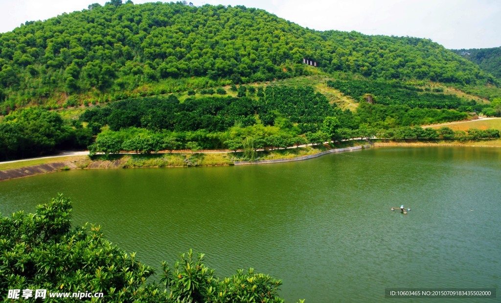 山水雁鸣湖