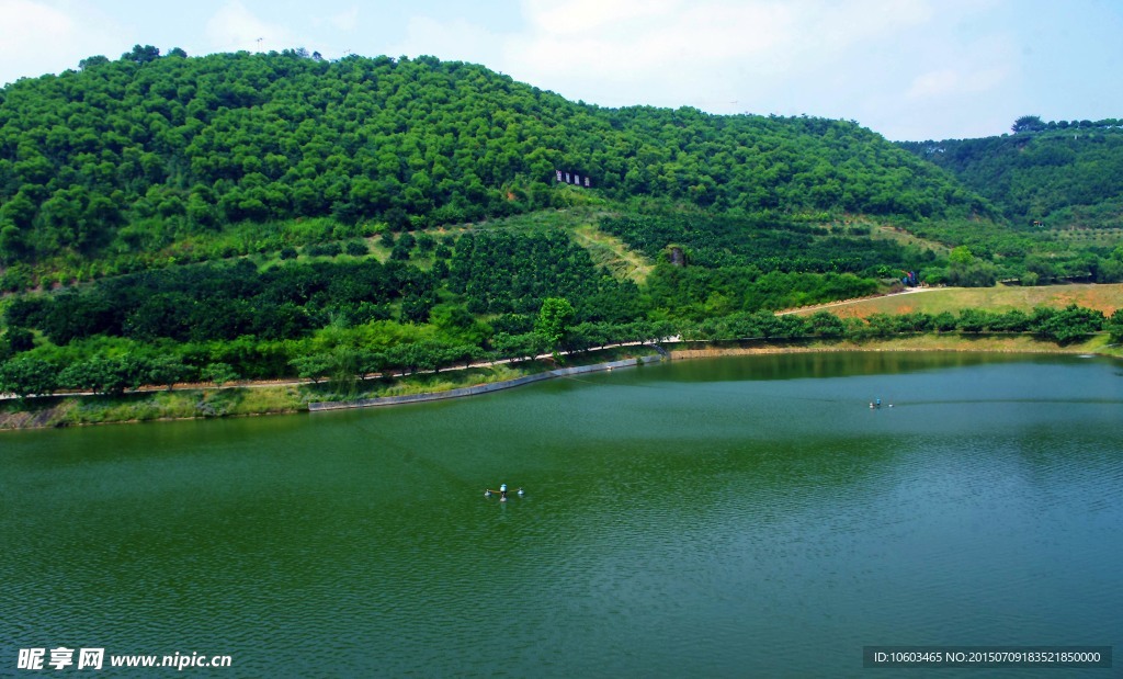 山水雁鸣湖