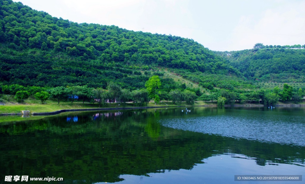 山水雁鸣湖