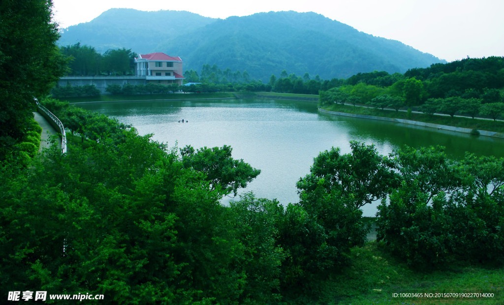 湖水荡漾