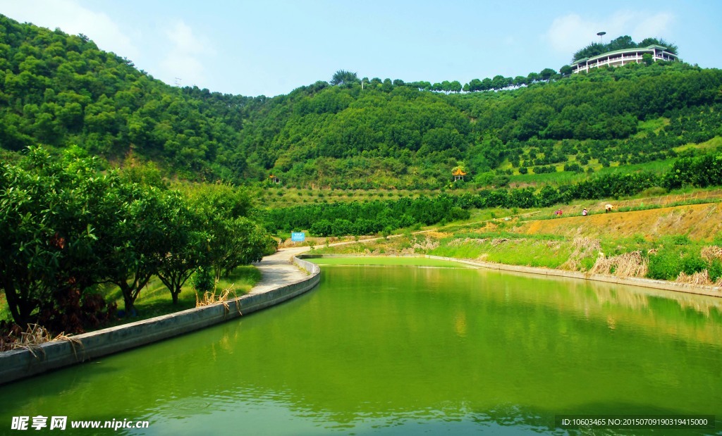 雁鸣湖百果园