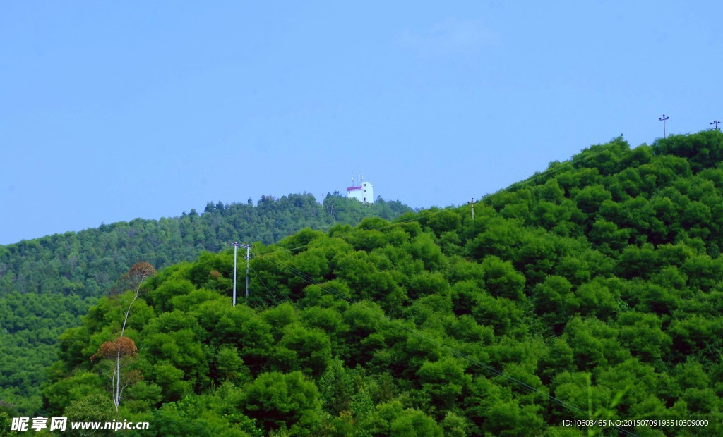 绿色中国 青山劲翠