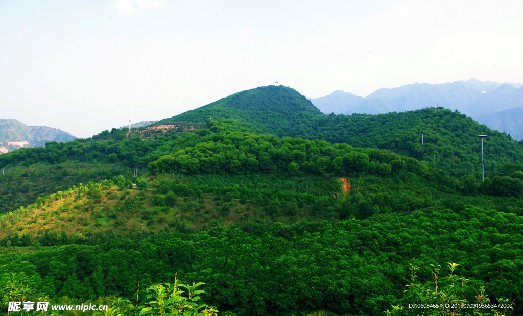 天山果林