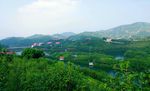 雁鸣湖