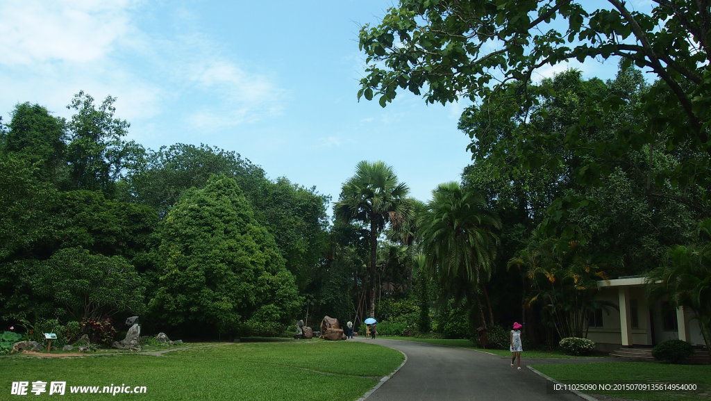 植物园