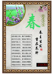 养生