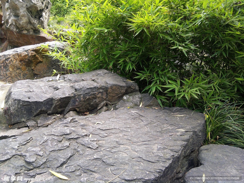 江南园林落叶石头