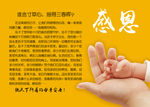 感恩母亲