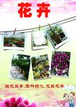 花卉海报墙