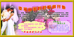 婚育展板新婚
