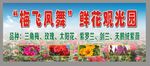 鲜花山谷