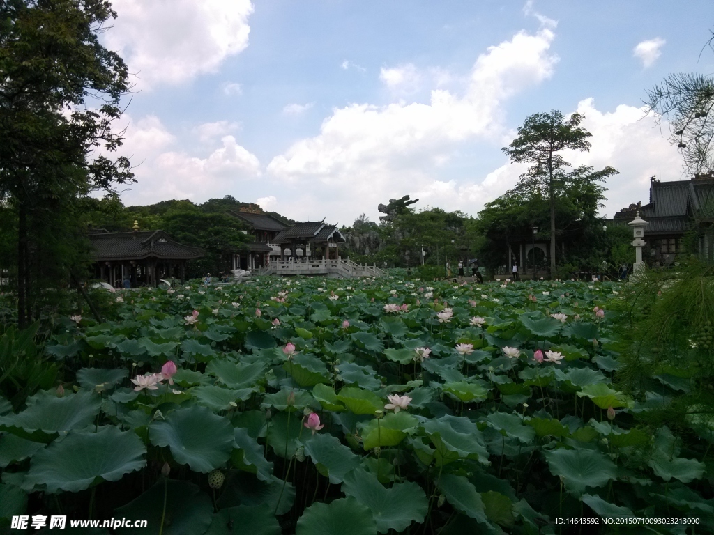 惠州西湖风景