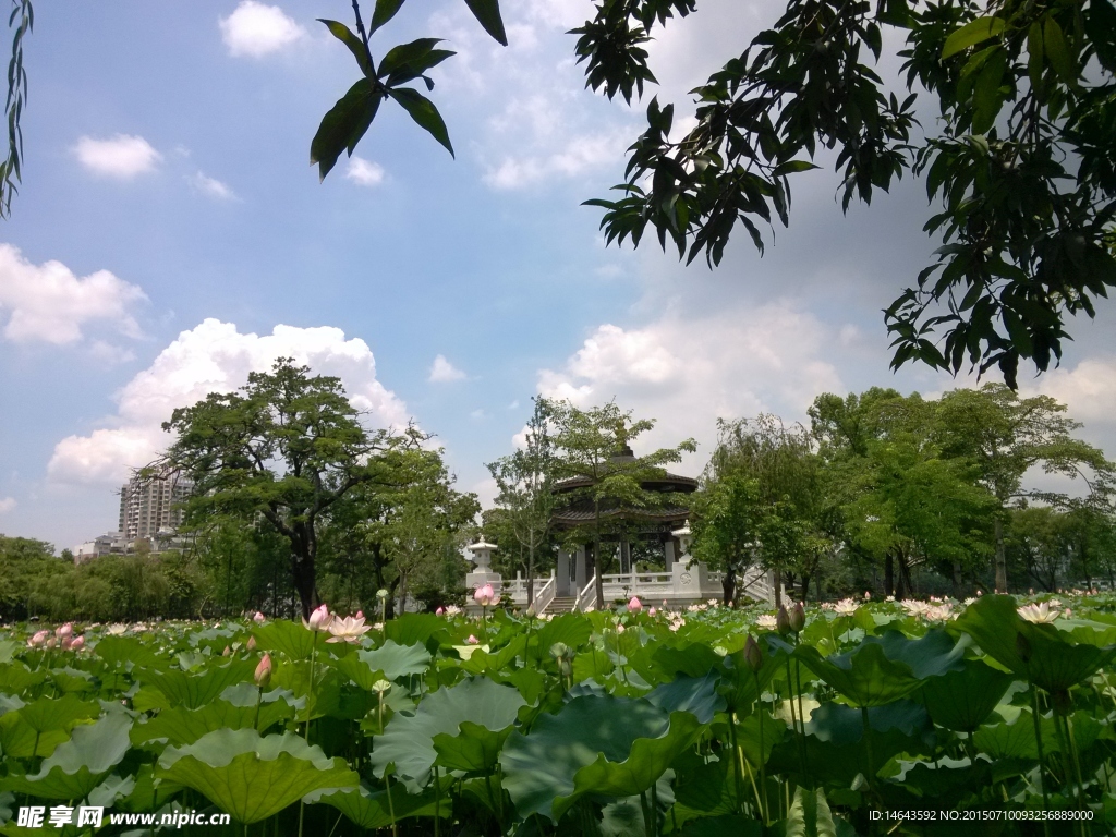 惠州西湖风景