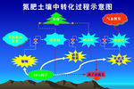 氮肥转换过程图