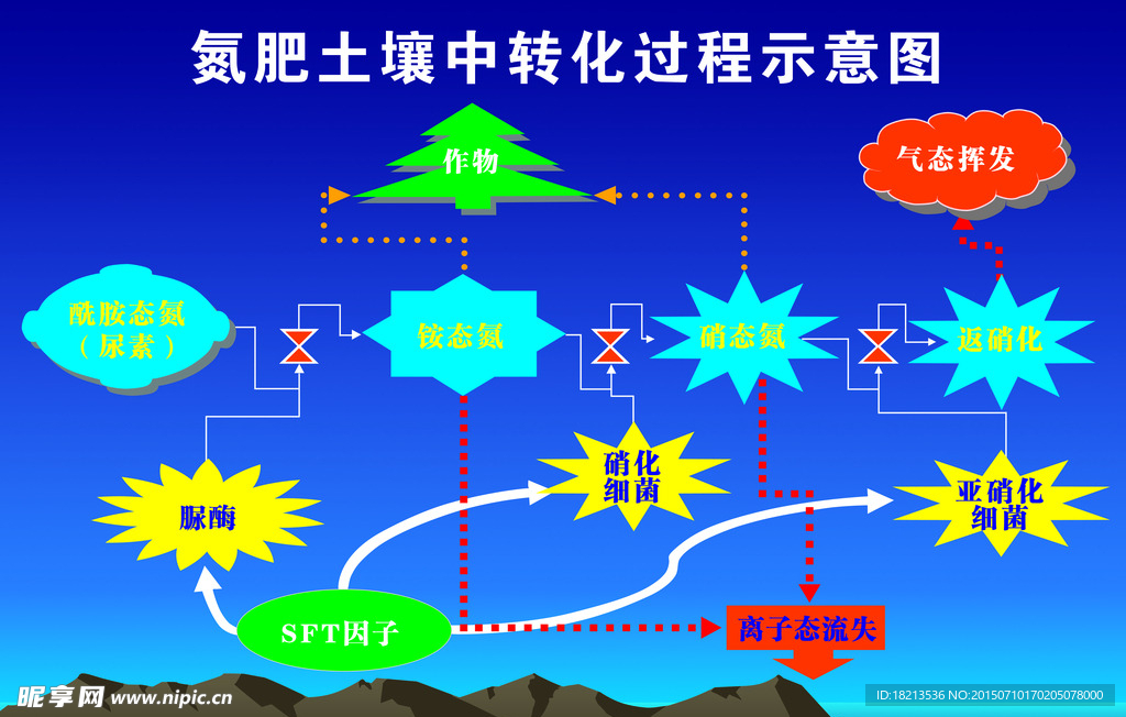 氮肥转换过程图
