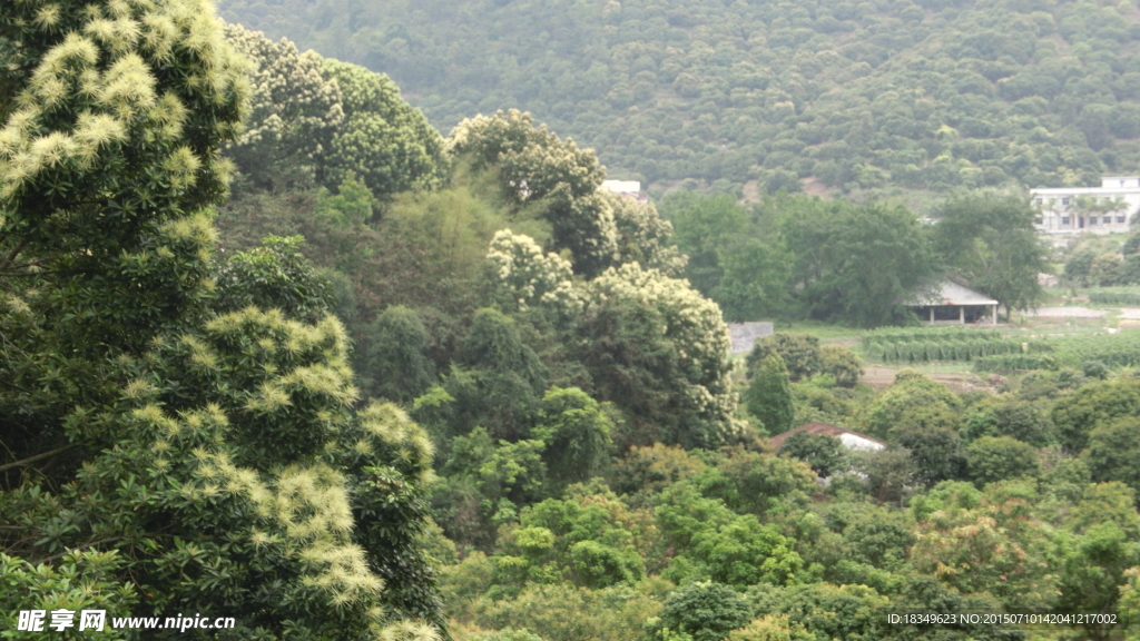 银瓶山风景