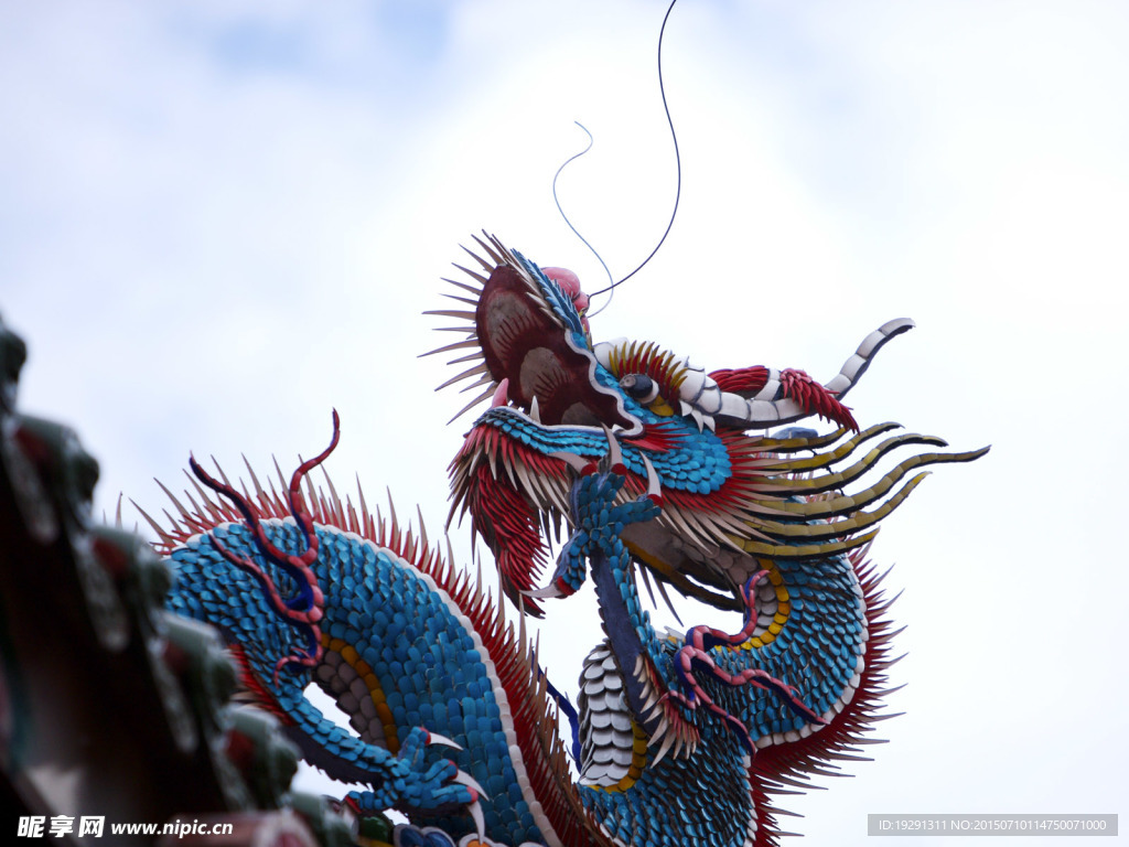 龙