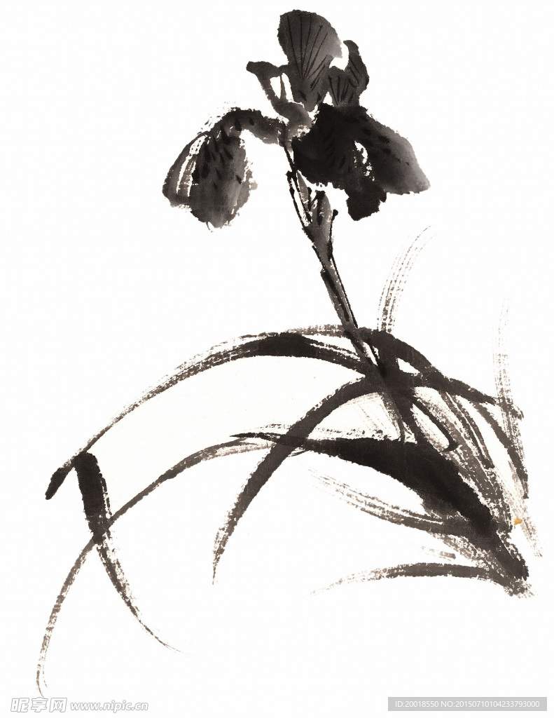 水墨兰花