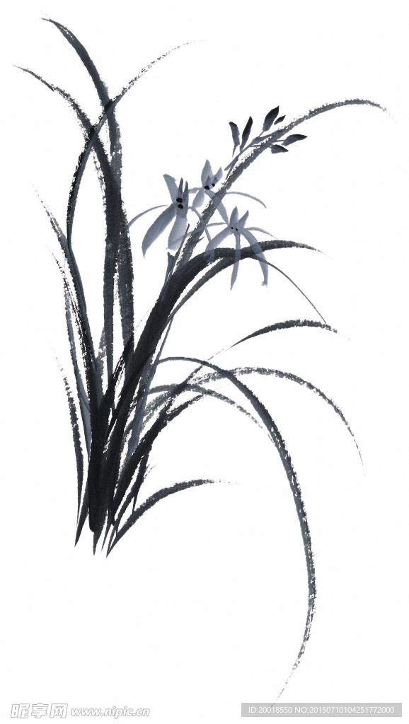 水墨兰花