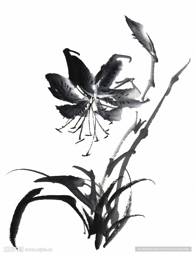 水墨兰花