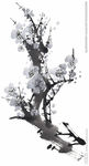 水墨梅花