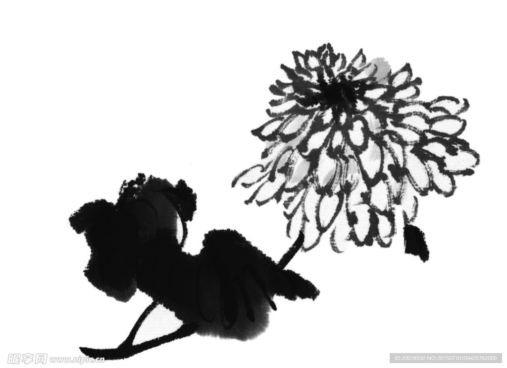 水墨菊花