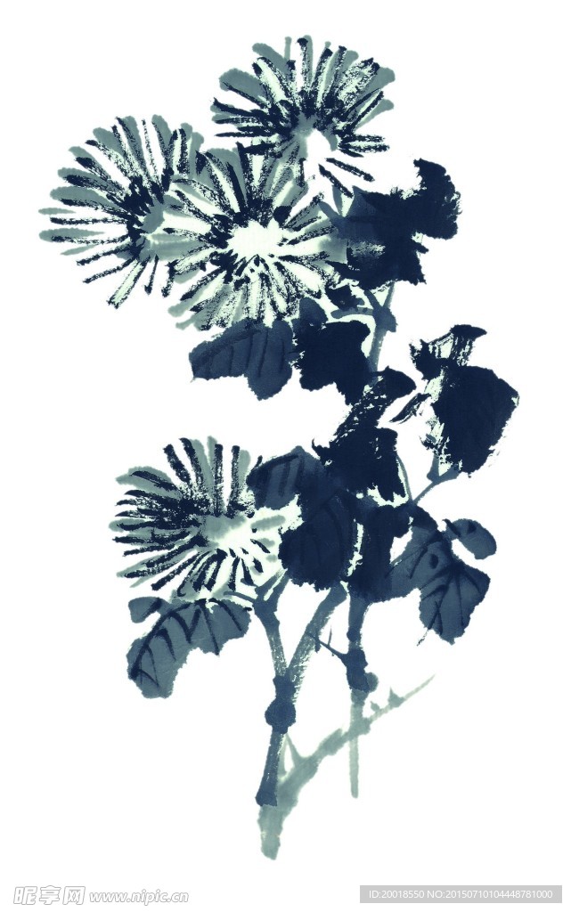 水墨菊花