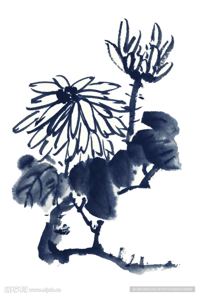 水墨菊花