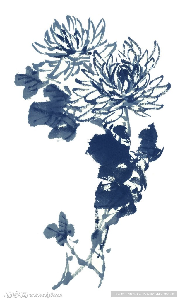 水墨菊花