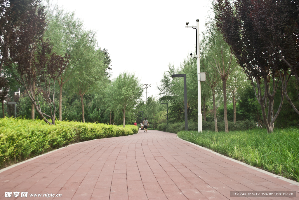 公园小路