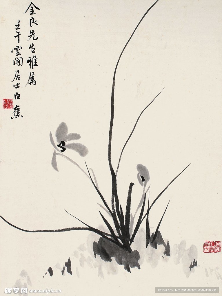墨兰出香