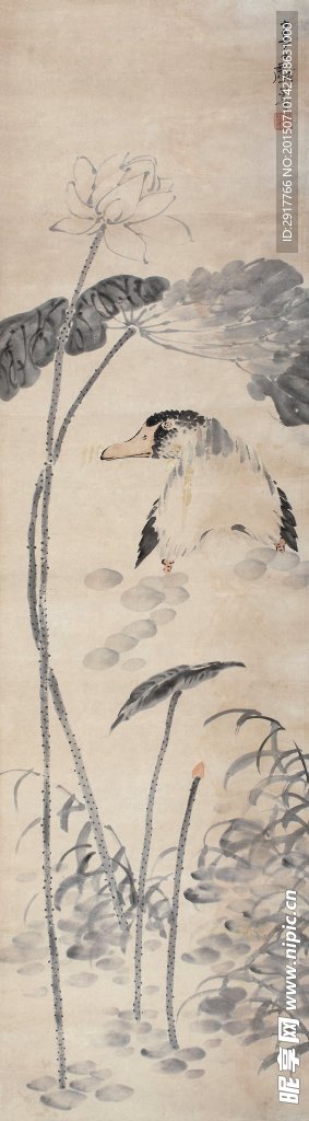荷塘鸭趣