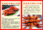 虎皮凤爪