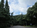 佘山    国家森林公园