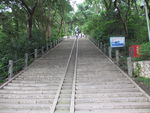 佘山    国家森林公园