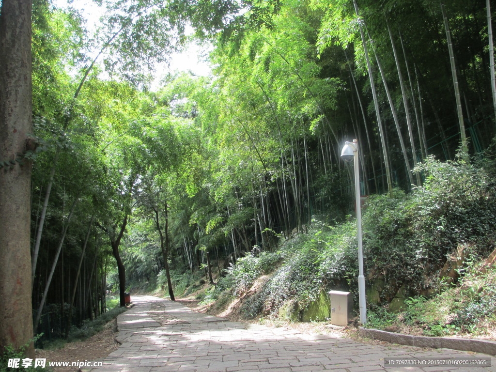 佘山    国家森林公园