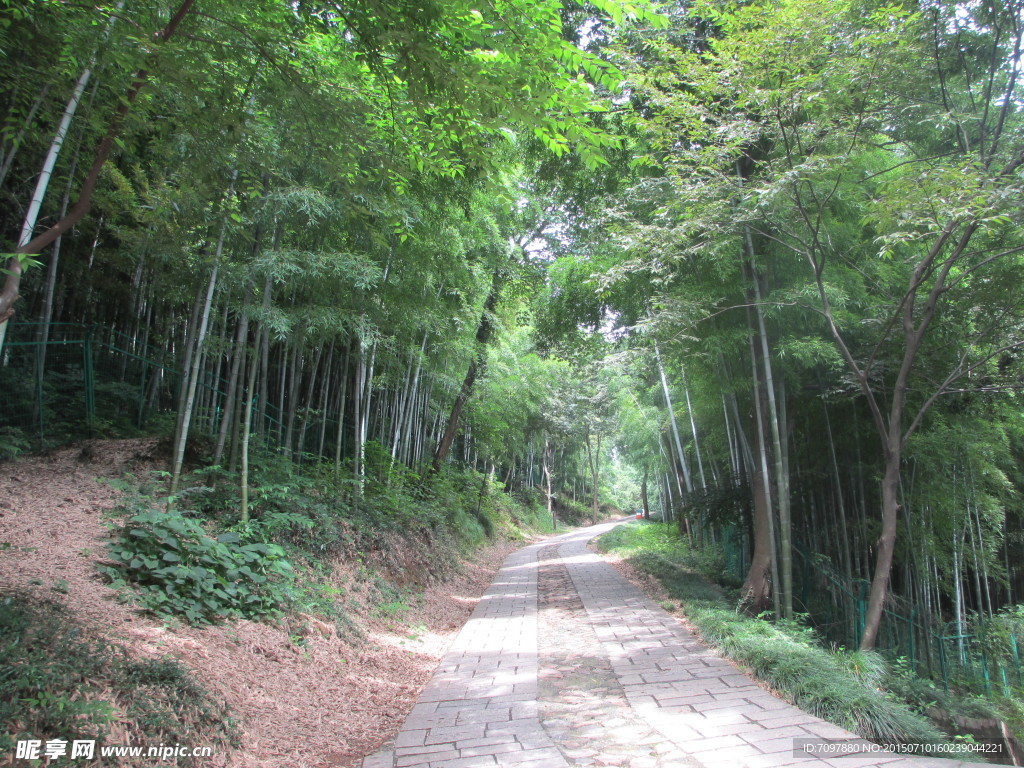 佘山    国家森林公园