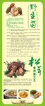 野生菌海报