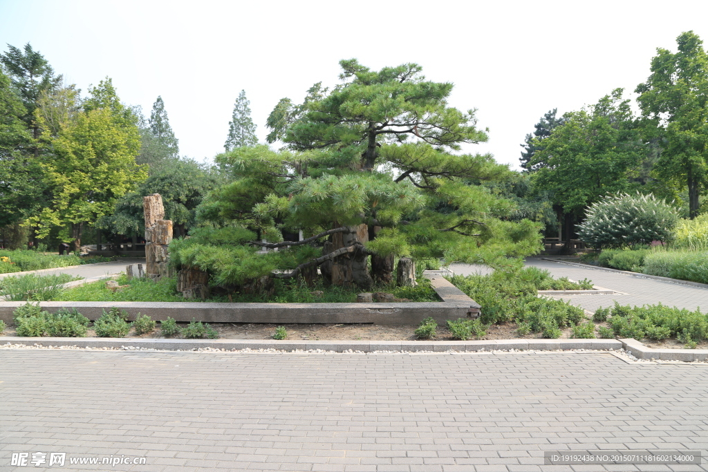 绿化景观