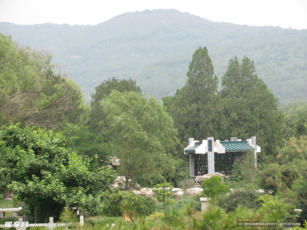 绿化景观