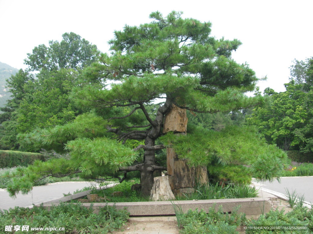 绿化景观