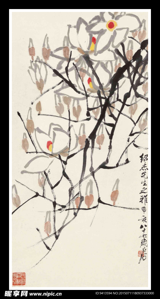 玉兰花