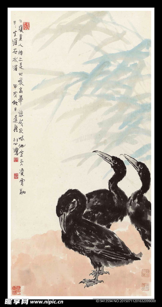 鱼鹰