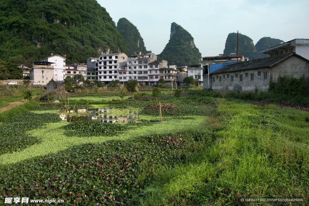 阳朔风光