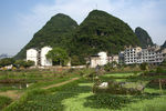 阳朔风光